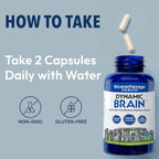 Stonehenge Health Dynamic Brain | Bacopa Supplement for Memory and Focus
