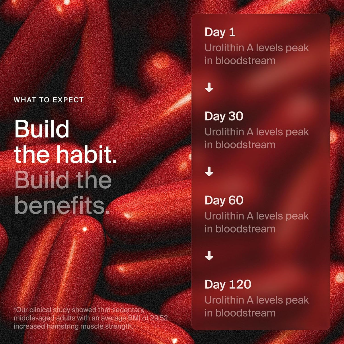 Timeline Mitopure Urolithin A 500mg Supplement, 60 Vegan Softgels